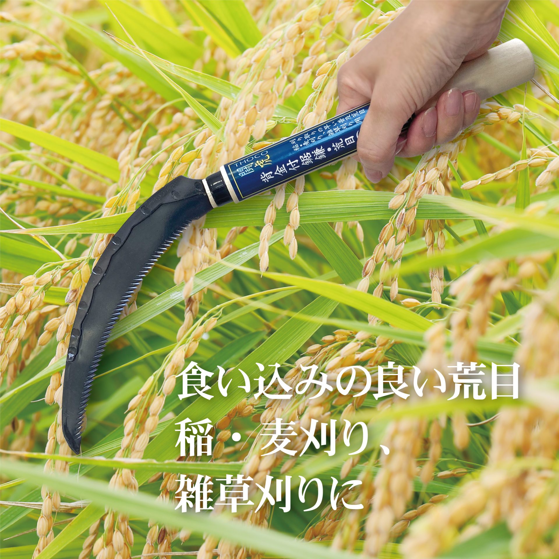 1544