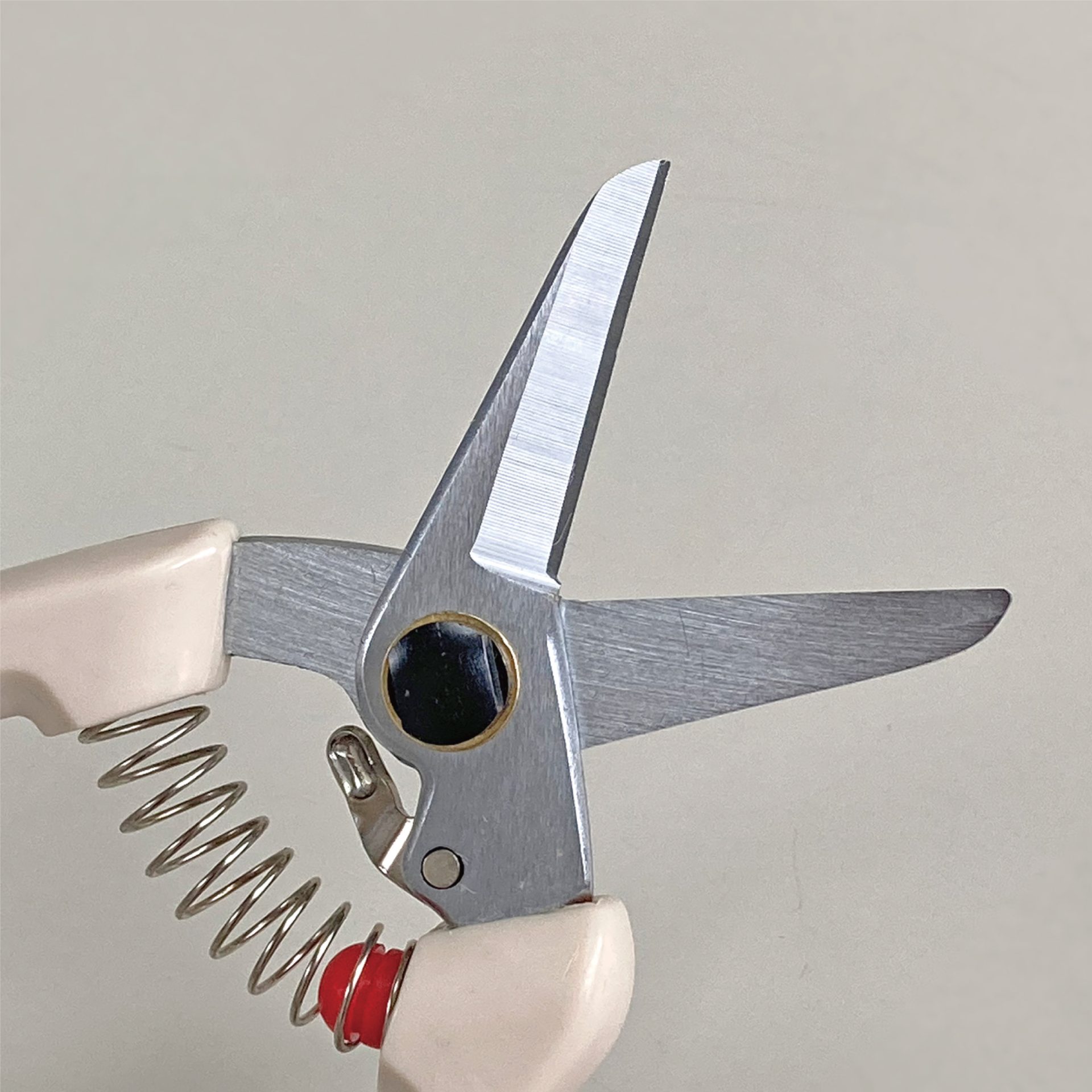 2279