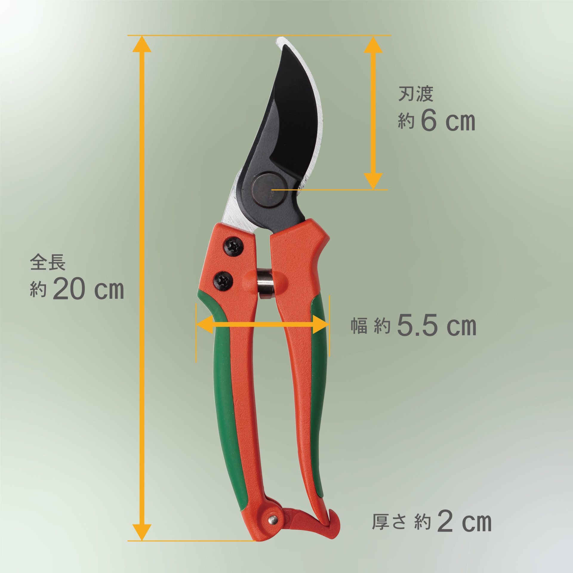 3025