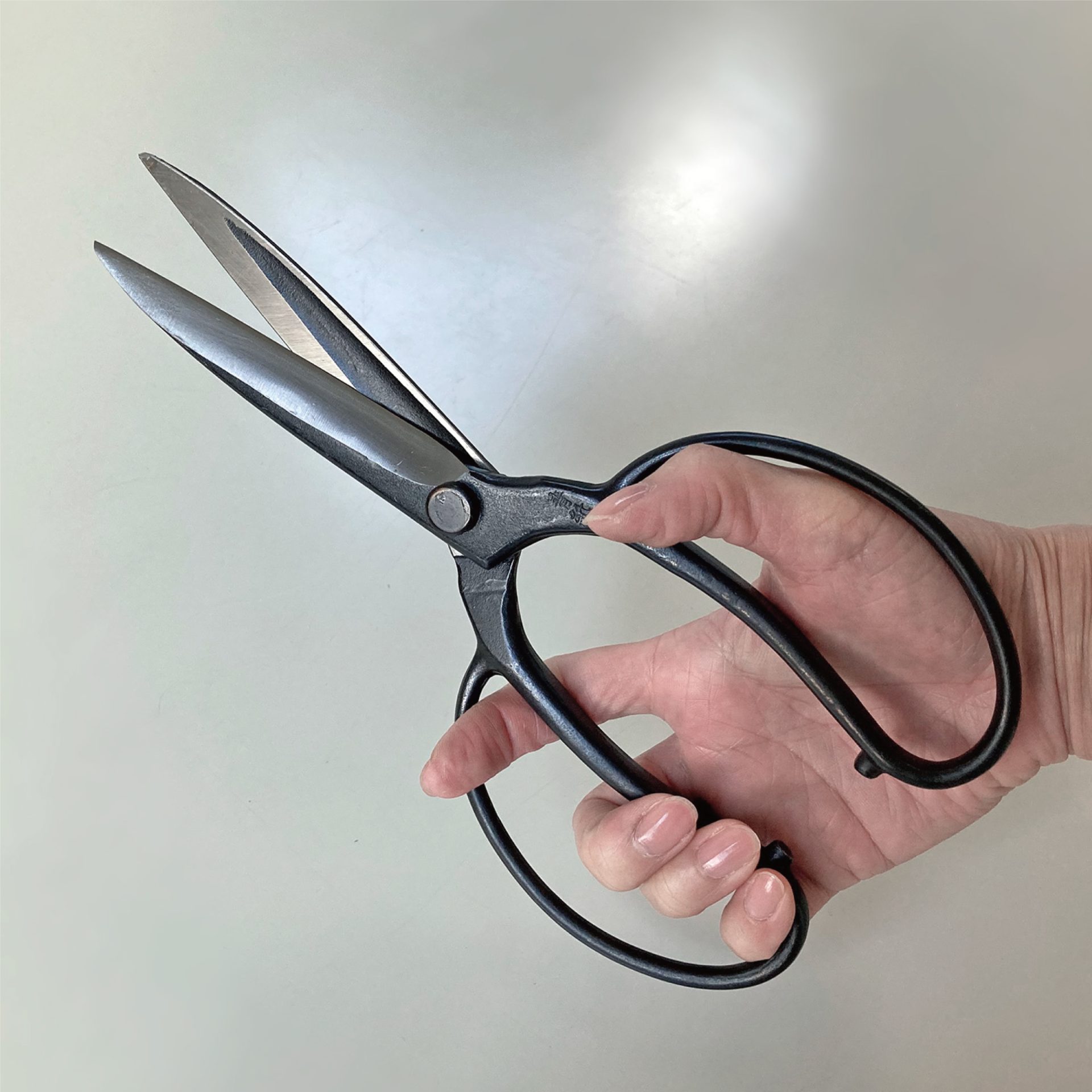 3638