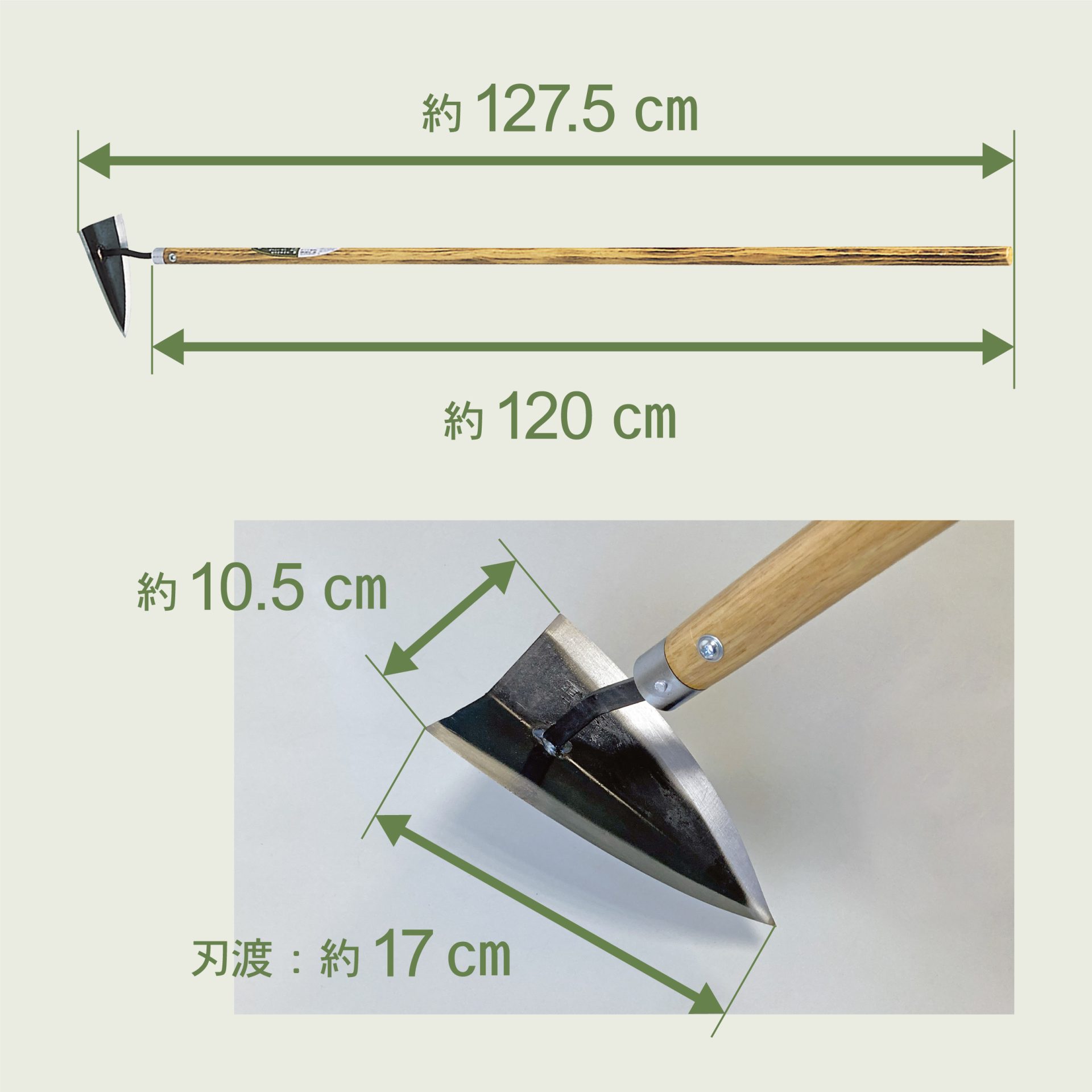 4119 - キンボシ株式会社